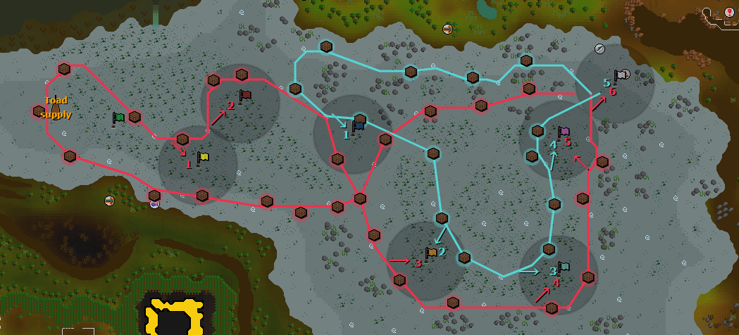 Shark tier optimal route with first and second lap paths marked