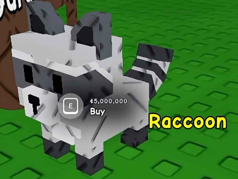 GAG2 Raccoon